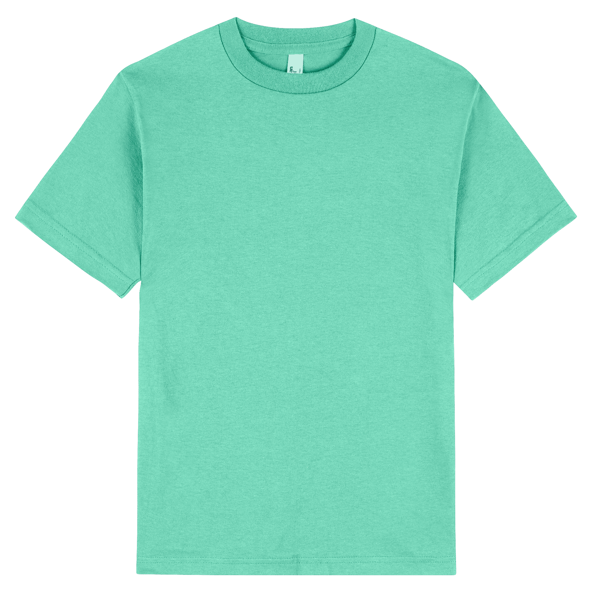 1301 American Apparel Heavyweight Cotton Unisex T-Shirt - Celadon