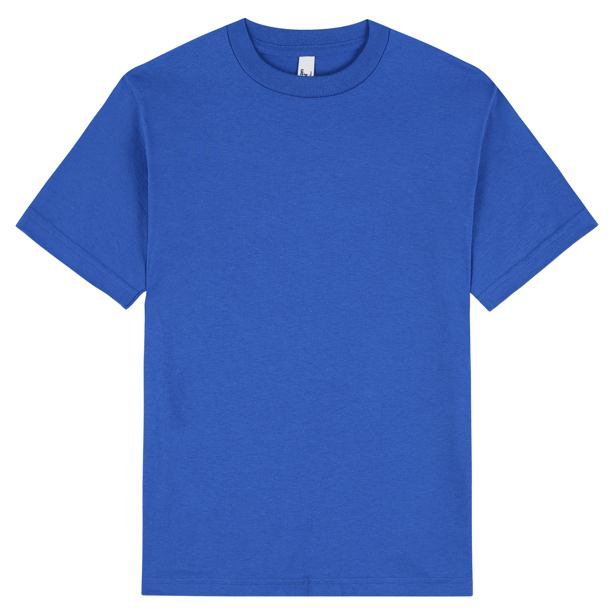1301 American Apparel Heavyweight Cotton Unisex T-Shirt - Royal