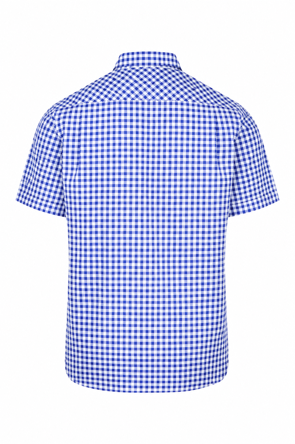 1909S FRENCH BLUE