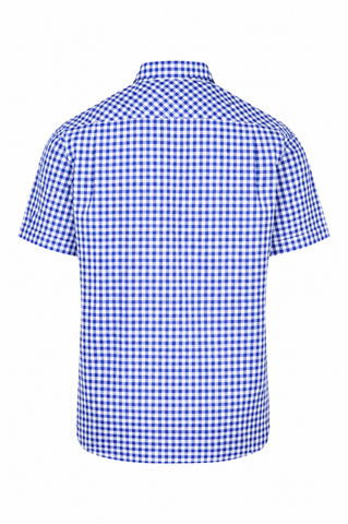 1909S FRENCH BLUE