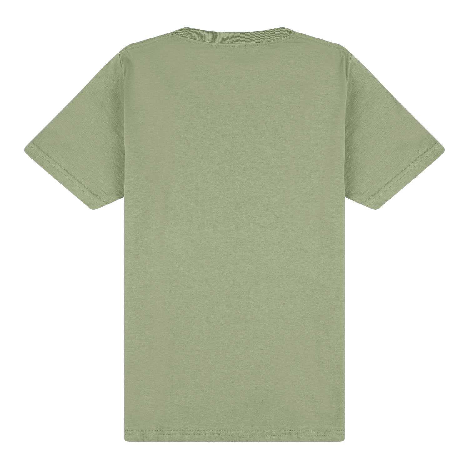 65000 Gildan Softstyle Midweight Tee - Sage