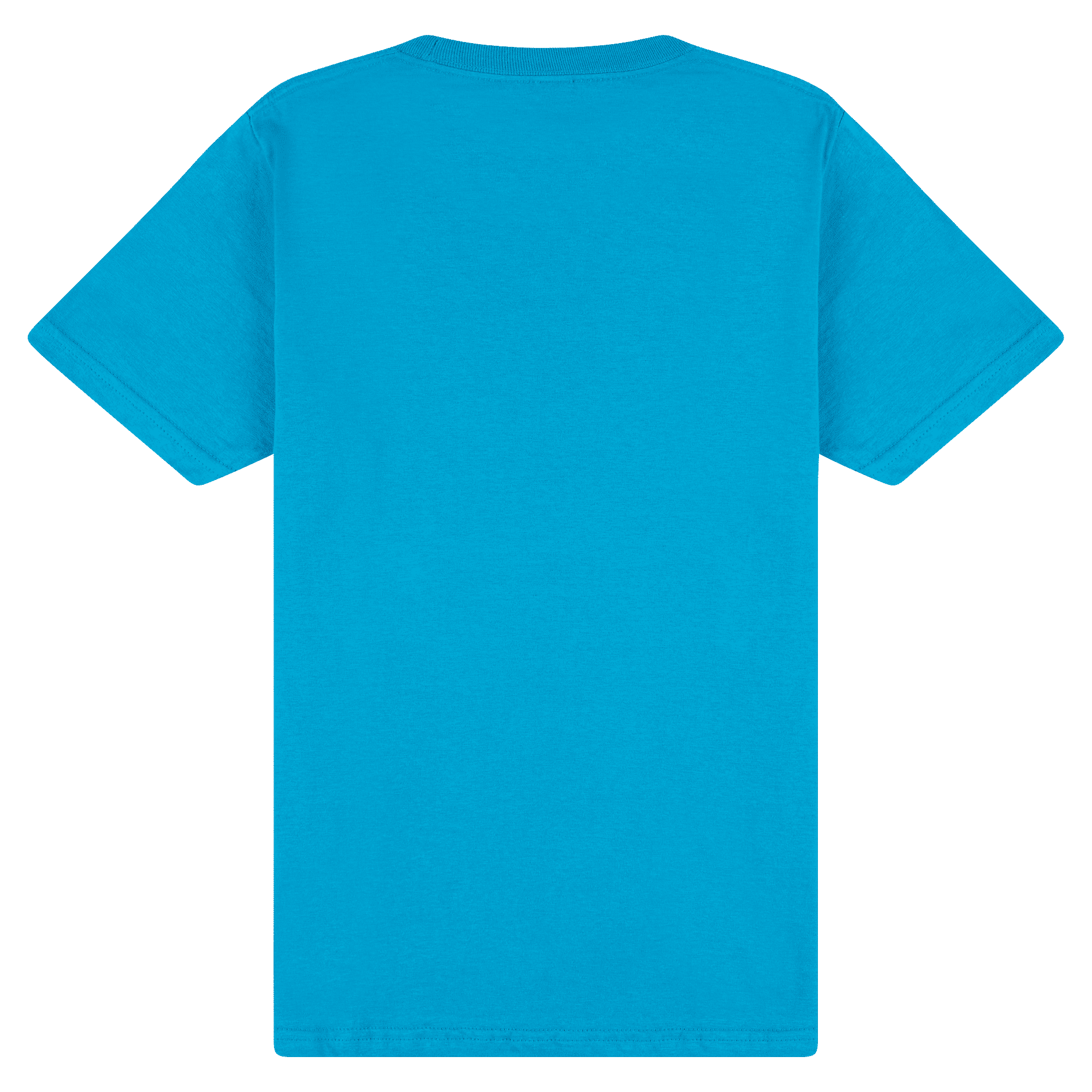 65000 Gildan Softstyle Midweight Tee - Sapphire