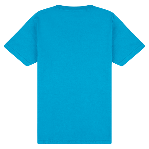 65000 Gildan Softstyle Midweight Tee - Sapphire