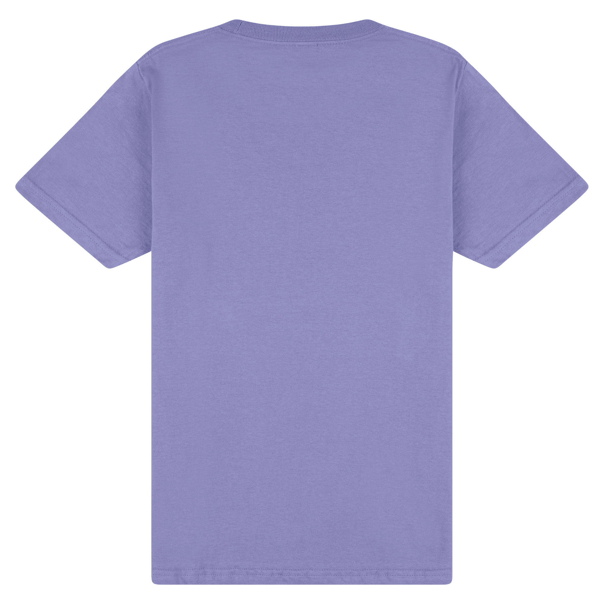65000 Gildan Softstyle Midweight Tee - Violet