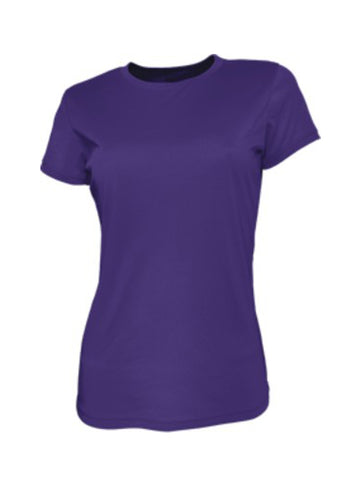 Ladies Brushed Tee Shirt in Purple