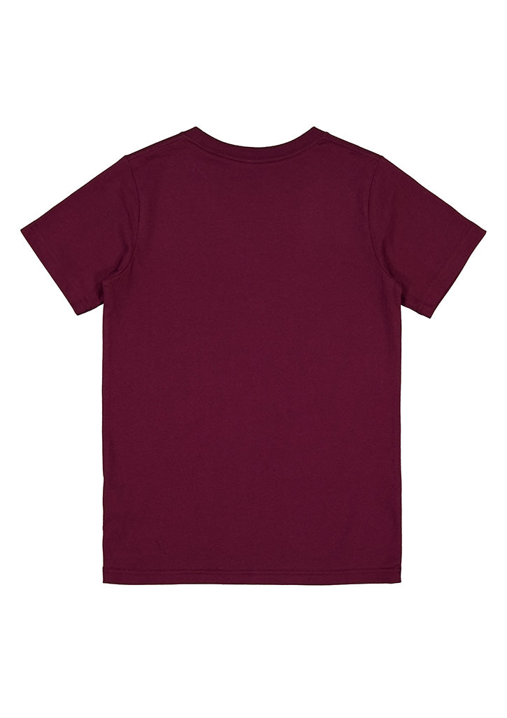 X1001Y Plum back