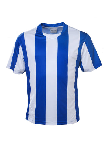 Unisex Adults Sublimated Striped Football Jersey in Royal/White