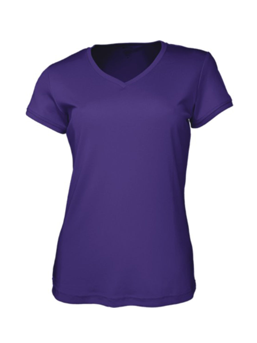Ladies Brushed V-Neck Tee Shirt in Purple