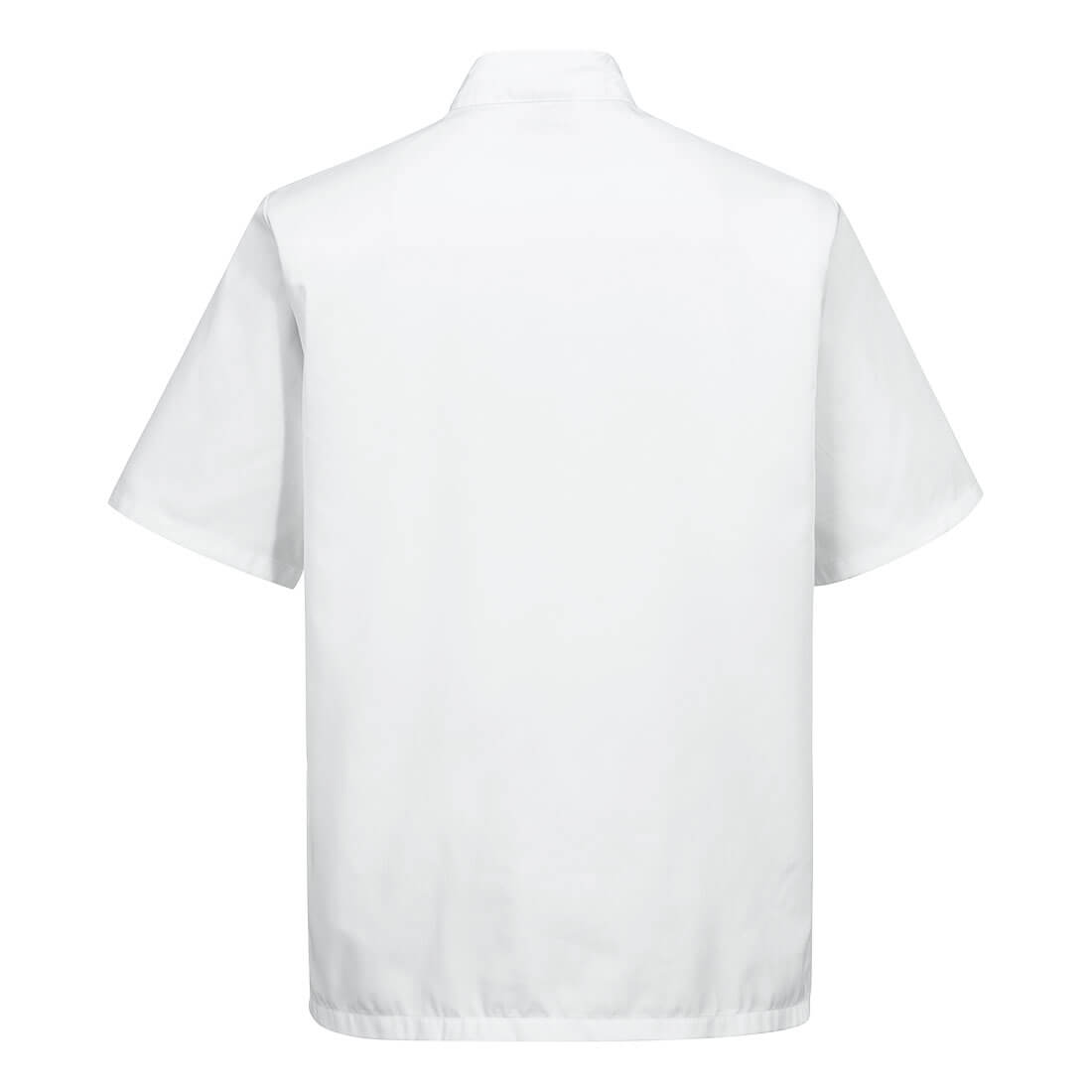 Chef's Kent Jacket S/S White back